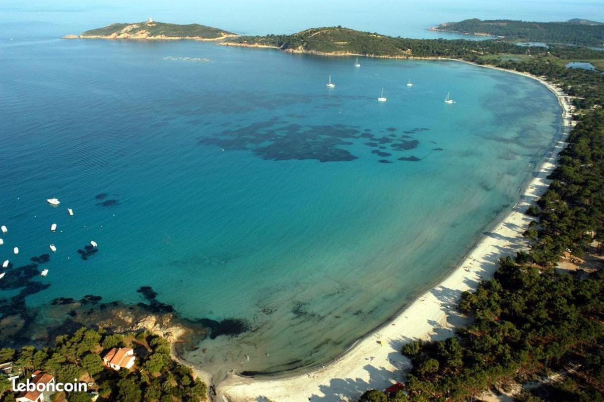 Appartement Proche Mer Et Montagne Zonza Εξωτερικό φωτογραφία